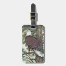Search for bald eagle accessories America