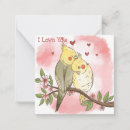 Search for parrots valentines day cards Birds