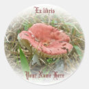 Search for fungus round stickers Nature