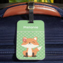 Search for cute fox Illustration