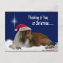 Search for thinking of you christmas cards Pet