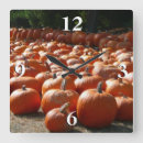 Search for pumpkin patch photography Fall