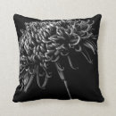 Search for chrysanthemum cushions Garden