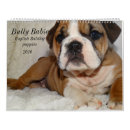 Search for english bulldog office supplies Bully