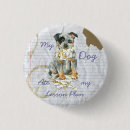 Search for acd dog accessories Blue heeler
