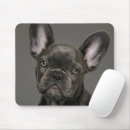 Search for purebred mouse mats French bulldog