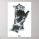 Search for schipperke posters Black