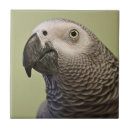 Search for parrot gifts African grey
