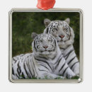 Search for bengal cat christmas tree decorations Big