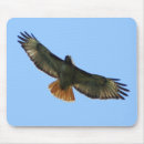 Search for hawk mouse mats Birds
