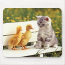 Search for pussy mouse mats Feline