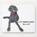 Search for dog rule electronics Funny
