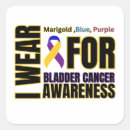Search for cancer awareness ribbon stickers Support