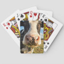 Search for cow playing cards Rural scene