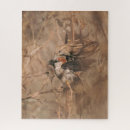Search for sparrow puzzles Ornithology