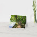 Search for tranquil cards Landscape