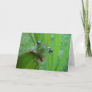 Search for toad photo Pet