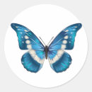 Search for butterfly drawing stickers Wildlife
