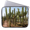 Search for arid electronics Climate