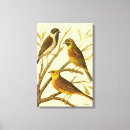 Search for perched art Tree
