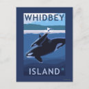 Search for orcas postcards Lantern