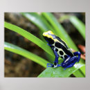 Search for darts posters Costa rica