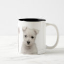 Search for old looking mugs Sitting