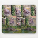 Search for hippo electronics Wildlife