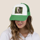 Search for barn hats Owl