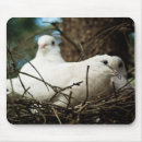 Search for nests mouse mats Tree