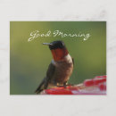 Search for grandma get well cards Nature