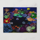 Search for clam postcards Shrimp