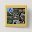 Search for birdwatchers badges Birds