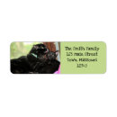 Search for bath return address labels Cute