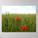 Search for red eared posters Green