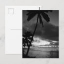 Search for black and white palm trees postcards Travel