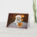 Search for halloween thank you cards Dog