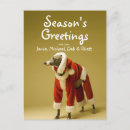 Search for pampered pets postcards One animal