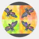 Search for deaths head stickers Insect