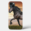 Search for beautiful horse iphone cases Horses