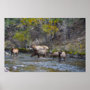 Search for big bull art Elk