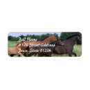 Search for horse return address labels Equine