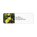 Search for pear return address labels Desert