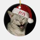 Search for laugh christmas tree decorations Cat