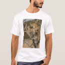 Search for mountain lion tshirts Predator