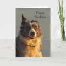 Search for border collie birthday cards Friend