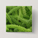 Search for ferns badges Green