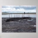 Search for sunken posters Nature