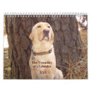 Search for lab calendars Funny