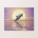 Search for dolphin puzzles Sunset